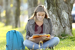 Student girl studying reading notes outdoors