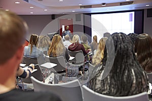 Student lecture in modern university classroom, back view