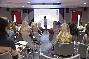 Student lecture in modern university classroom, back view