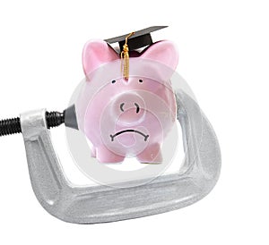 Student loan piggy bank vice