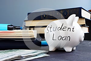 Student loan written on a piggy bank and money.