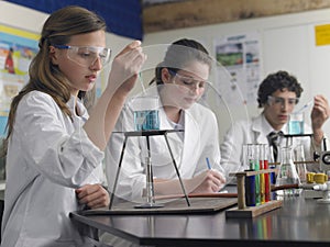 Students Caring Out Experiments In Laboratory