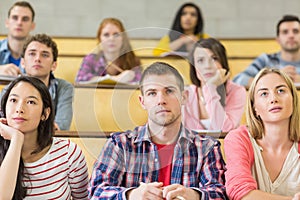 Students at the college lecture hall photo