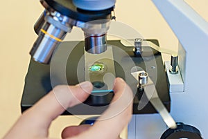 Students experimenting and discovering in science class