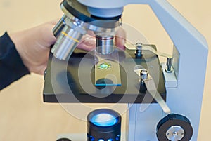 students experimenting and discovering in science class