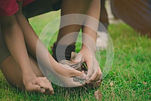 Students help to pull out the take-advantage weedsand keep dry