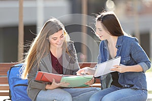 Students learning comparing notes on a bench