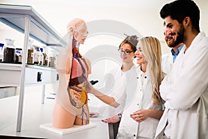 Students of medicine examining anatomical model in classroom