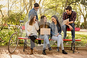 Students in the park