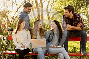 Students in the park