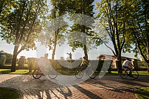 Students spending time together in summer park.