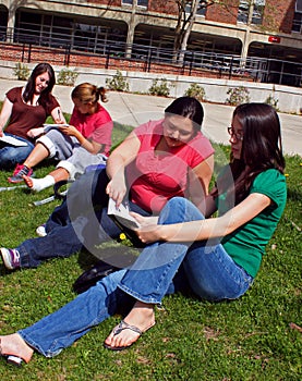 students studying outside