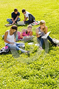 Students studying sitting in the park teens