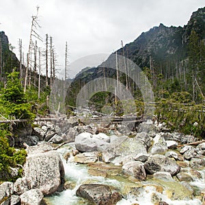 Studeny potok in High Tatras mountains, Carpathia