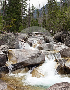 Studený potok ve Vysokých Tatrách, Karpaty