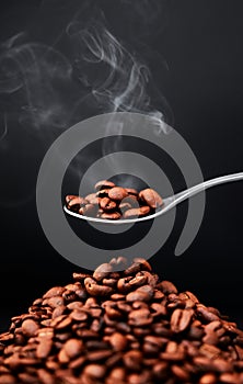 Studio, coffee beans and scent or aroma on spoon for organic diet, roast and black background. Art, seeds and texture of