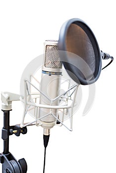 Studio condenser microphone