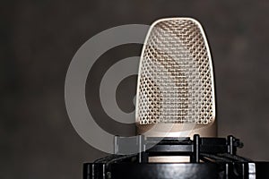 Studio Condenser Microphone