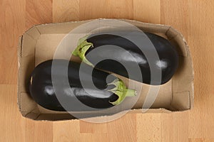 Two eggplants