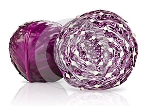 Studio Isolated Red Cabbage