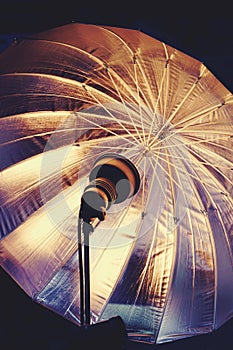 Studio lighting equipment. Flash and umbrella