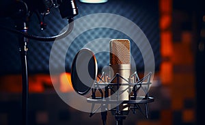 Studio mic and pop shield on the mic