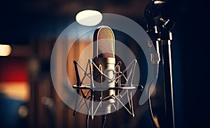 Studio mic and pop shield on the mic