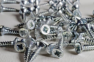 A Studio Photograph of Silver Woodscrews