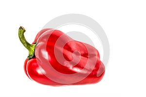 Studio picture of a single red bell pepper