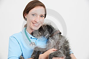 Studio Portrait Of Female Veterinary Surgeon Holding Lurcher Dog