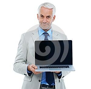 Studio, portrait and mature businessman by laptop screen for web design and technology with ux for office worker. Senior