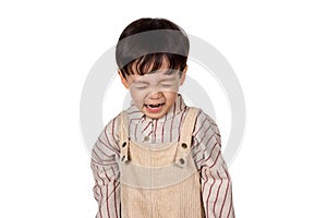 Studio portrait of sincere but mischievous asian boy child