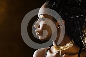 Studio profile beauty portrait of african girl.