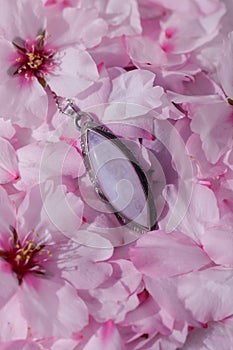 Studio shoot of jewelry stone on almond blossom petals photo