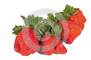 Studio Shot of Four Fresh Organic Red Strawberries