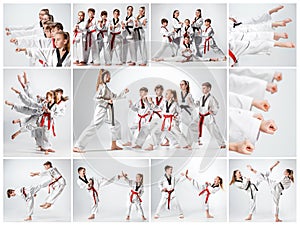 The studio shot of group of kids training karate martial arts