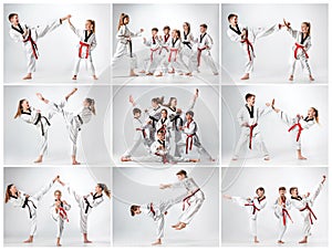 The studio shot of group of kids training karate martial arts