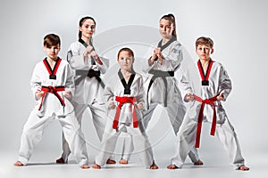 The studio shot of group of kids training karate martial arts