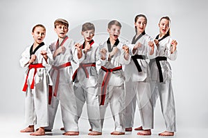 The studio shot of group of kids training karate martial arts