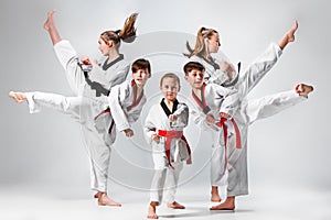 The studio shot of group of kids training karate martial arts