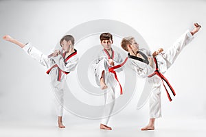 The studio shot of group of kids training karate martial arts