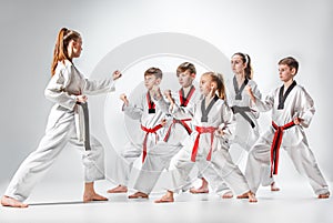 The studio shot of group of kids training karate martial arts