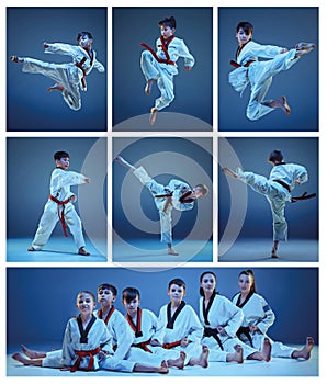 The studio shot of group of kids training karate martial arts