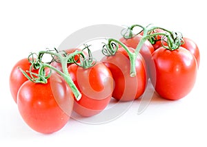 Studio shot organic a cluster of vine ripened Roma tomatoes isolated on white background