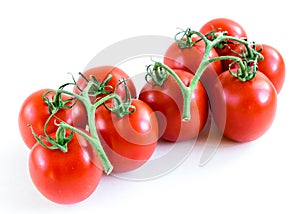 Studio shot organic a cluster of vine ripened Roma tomatoes isolated on white background