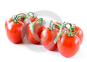 Studio shot organic a cluster of vine ripened Roma tomatoes isolated on white background