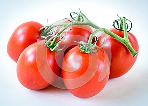 Studio shot organic five on vine ripened Roma tomatoes isolated on white background