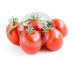 Studio shot organic five on vine ripened Roma tomatoes isolated on white background