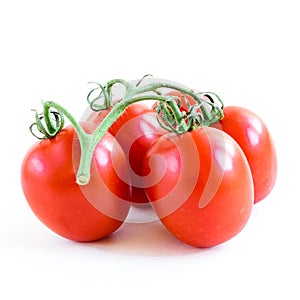 Studio shot organic four on vine ripened Roma tomatoes isolated on white background