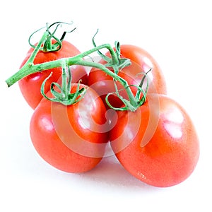 Studio shot organic four on vine ripened Roma tomatoes isolated on white background